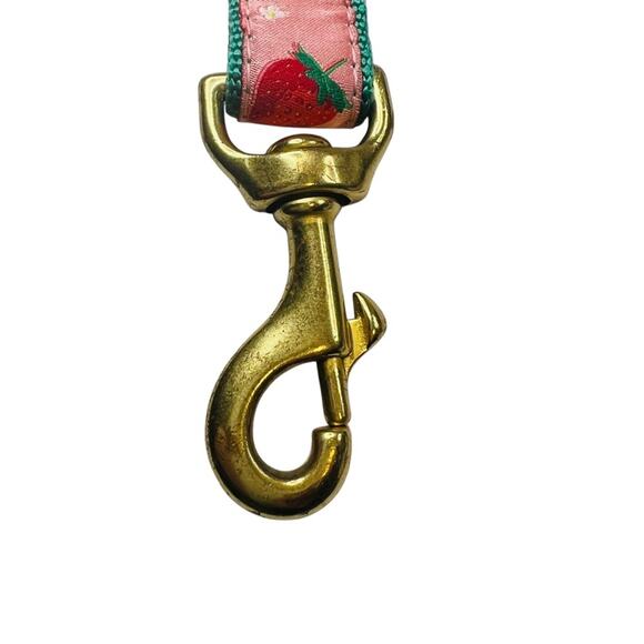 Up Country Strawberry Fields Dog Medium Collar Matching Lead Leash 2PC Set USA - Picture 7 of 14